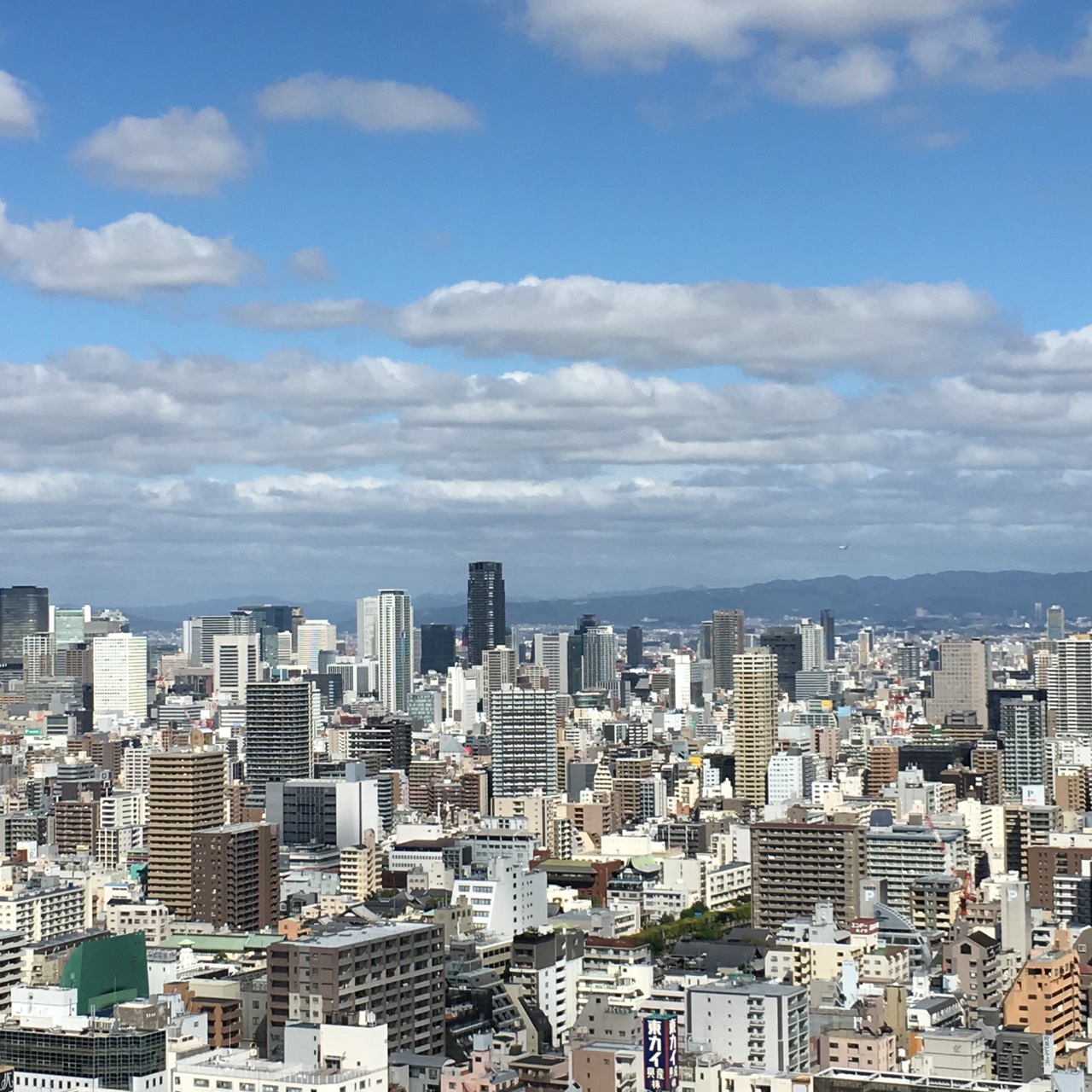 35階 昼北